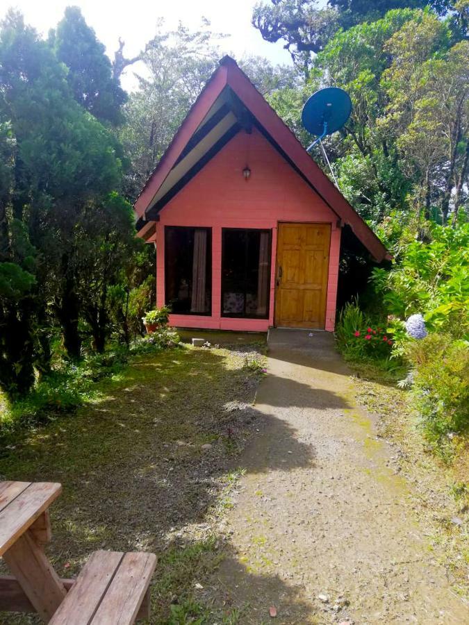 Cabanas Las Orquideas Zapotal  Quarto foto