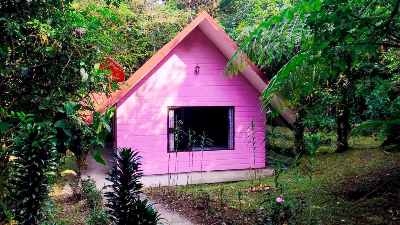 Cabanas Las Orquideas Zapotal  Quarto foto