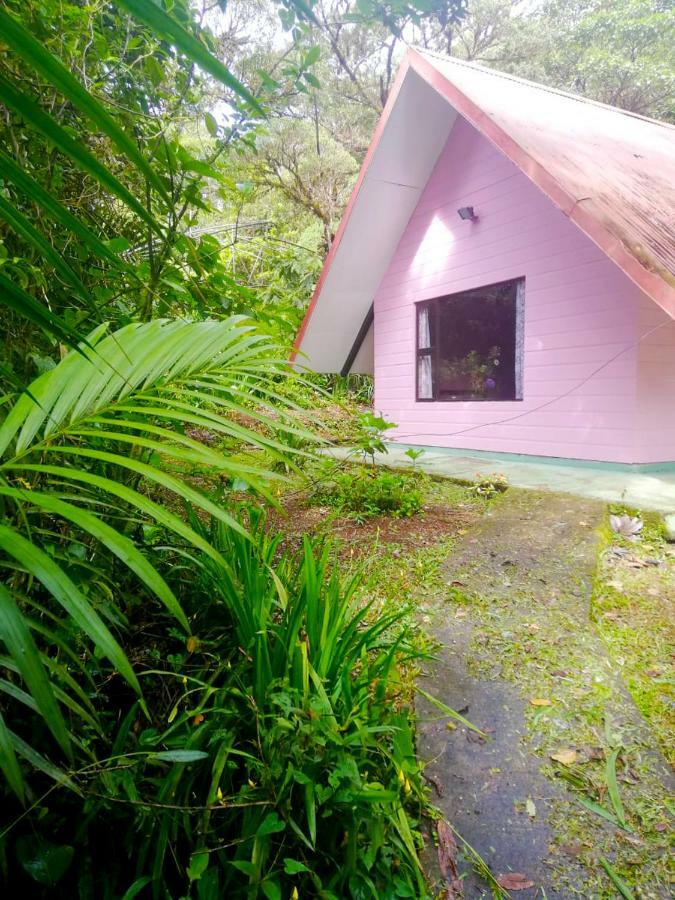 Cabanas Las Orquideas Zapotal  Quarto foto