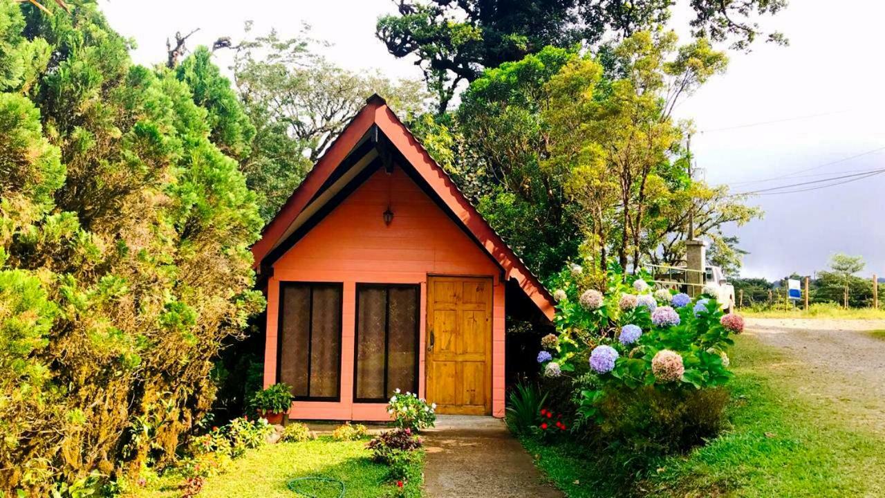 Cabanas Las Orquideas Zapotal  Quarto foto