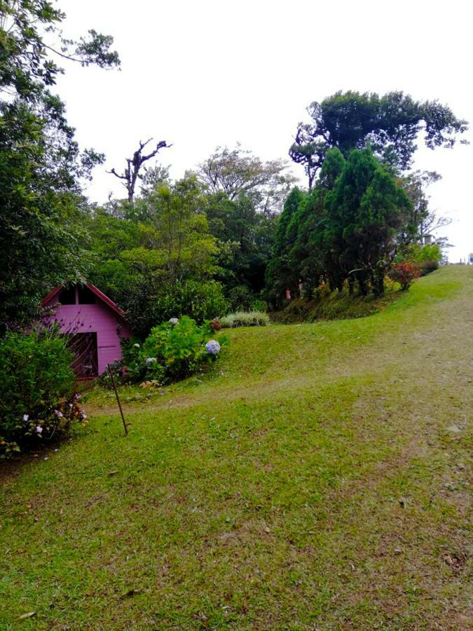Cabanas Las Orquideas Zapotal  Exterior foto