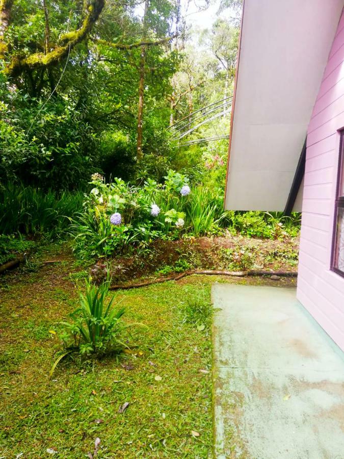 Cabanas Las Orquideas Zapotal  Exterior foto